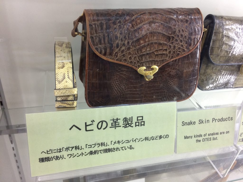 Snake leather bag