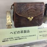 Snake leather bag