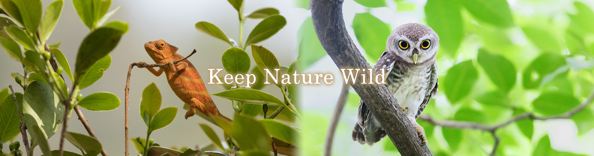 Keep Nature Wild