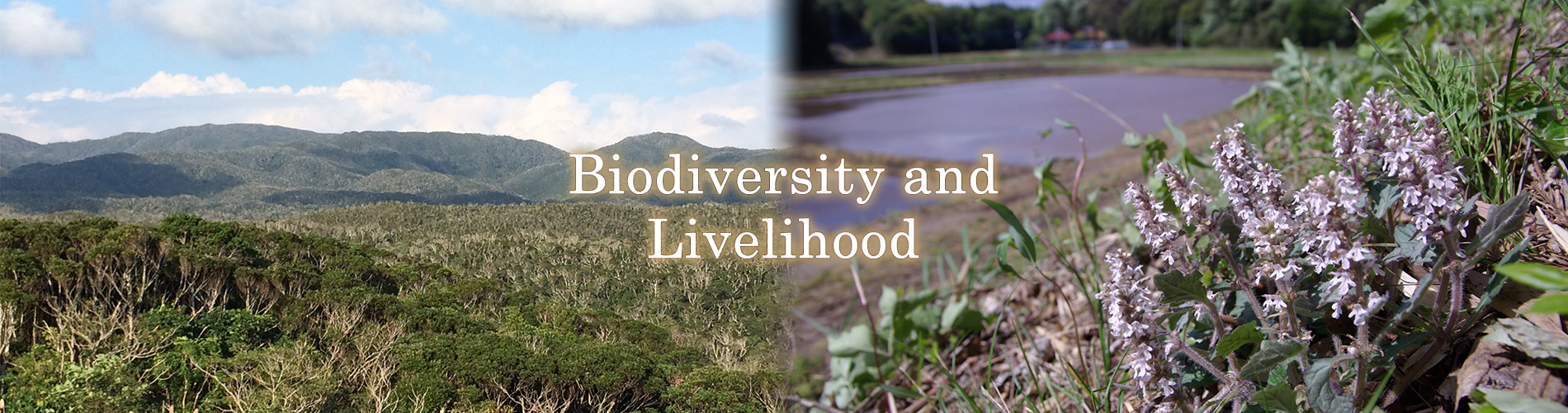 Biodiversity and Livelihood