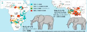 アフリカのゾウの分布
IUCNレッドリストより