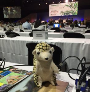 CITES　CoP17　会議風景