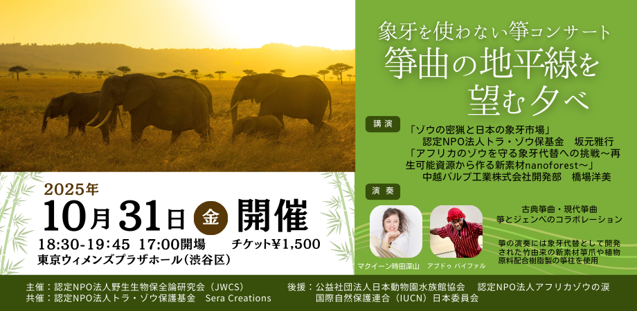 象牙を使わない箏コンサートのご案内