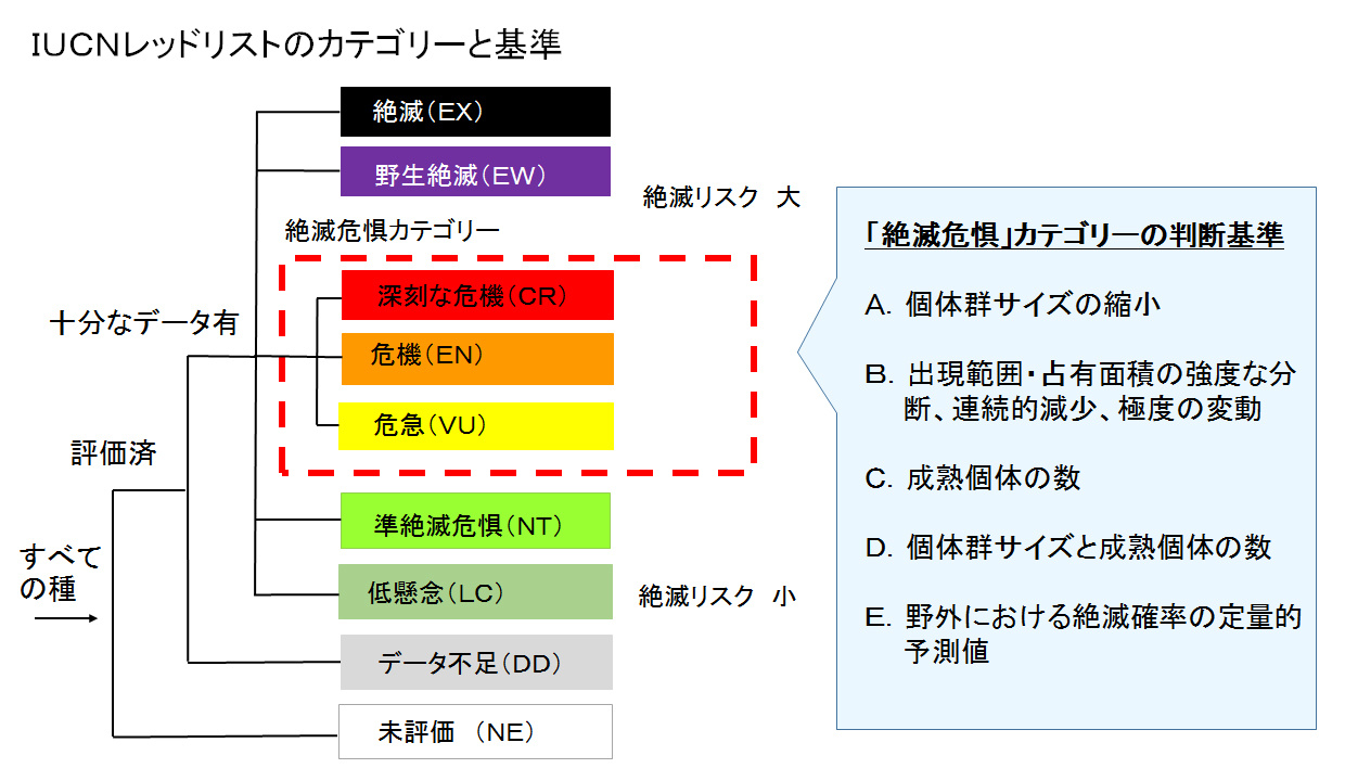 種の絶滅 活動テーマ 野生生物保全論研究会 Jwcs