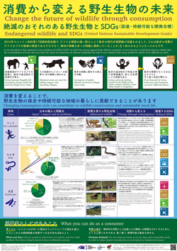 消費から変える野生生物の未来　絶滅のおそれのある野生生物とSDGｓ